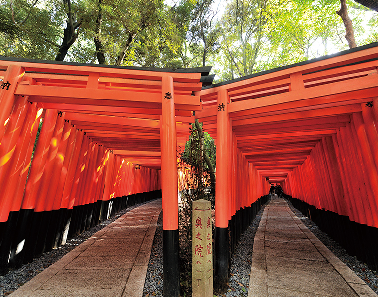 Senbon Torii